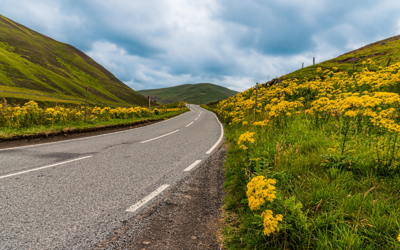 Summer Wellbeing for You and Your Car