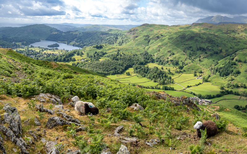 grasmere