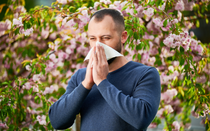 Man suffering from hayfever blowing nose